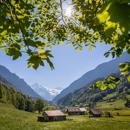 Haus Bei Grindelwald By Interhome *